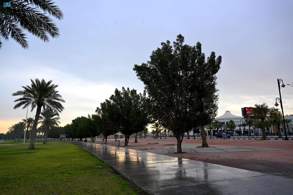 أمطار غزيرة على عسير - واس