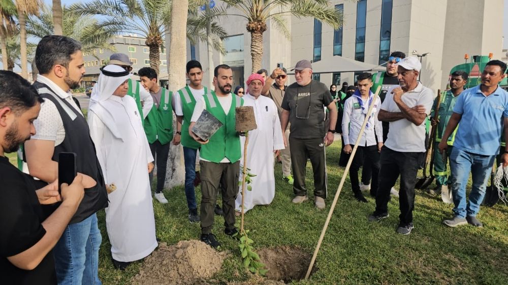 القطيف.. 80 متطوعاً في حملة لزراعة التوت البلدي بالمحافظة