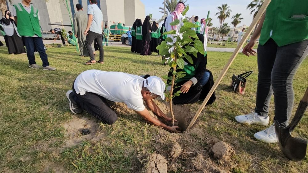 القطيف.. 80 متطوعاً في حملة لزراعة التوت البلدي بالمحافظة