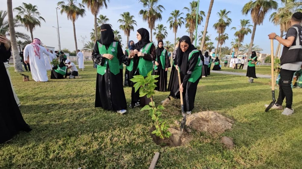 القطيف.. 80 متطوعاً في حملة لزراعة التوت البلدي بالمحافظة