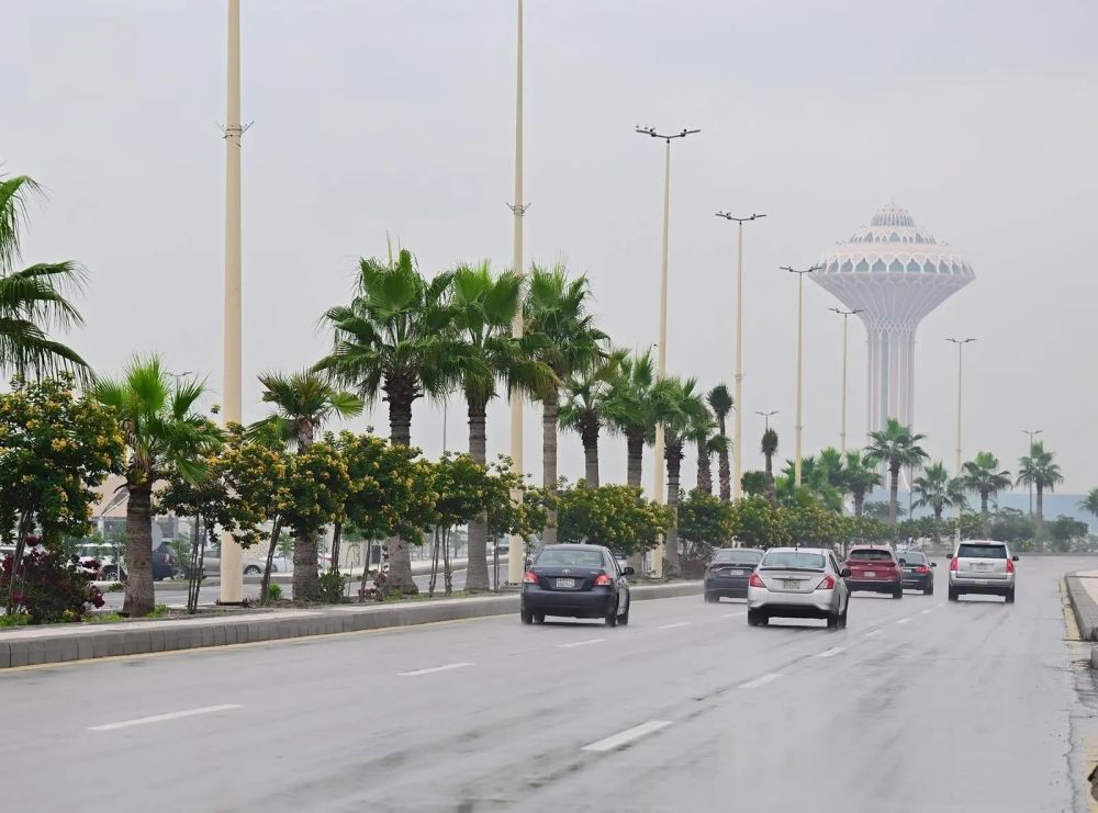 أمطار خفيفة على أجزاء من المنطقة الشرقية - واس