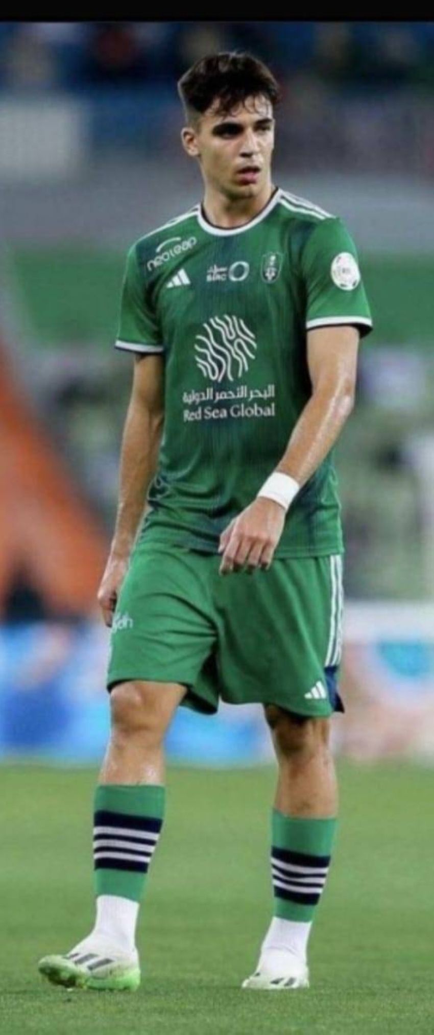 جابري فيجا جابري فيجا