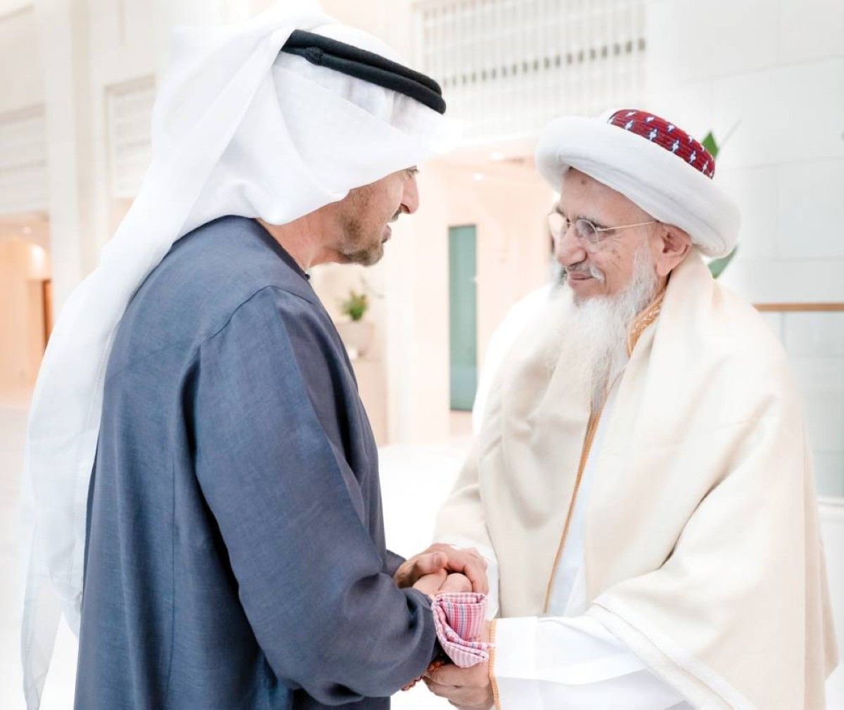 محمد بن زايد مصافحاً مفضل سيف الدين