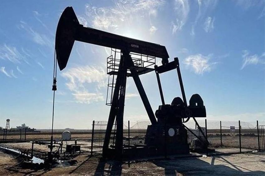 النفط النفط