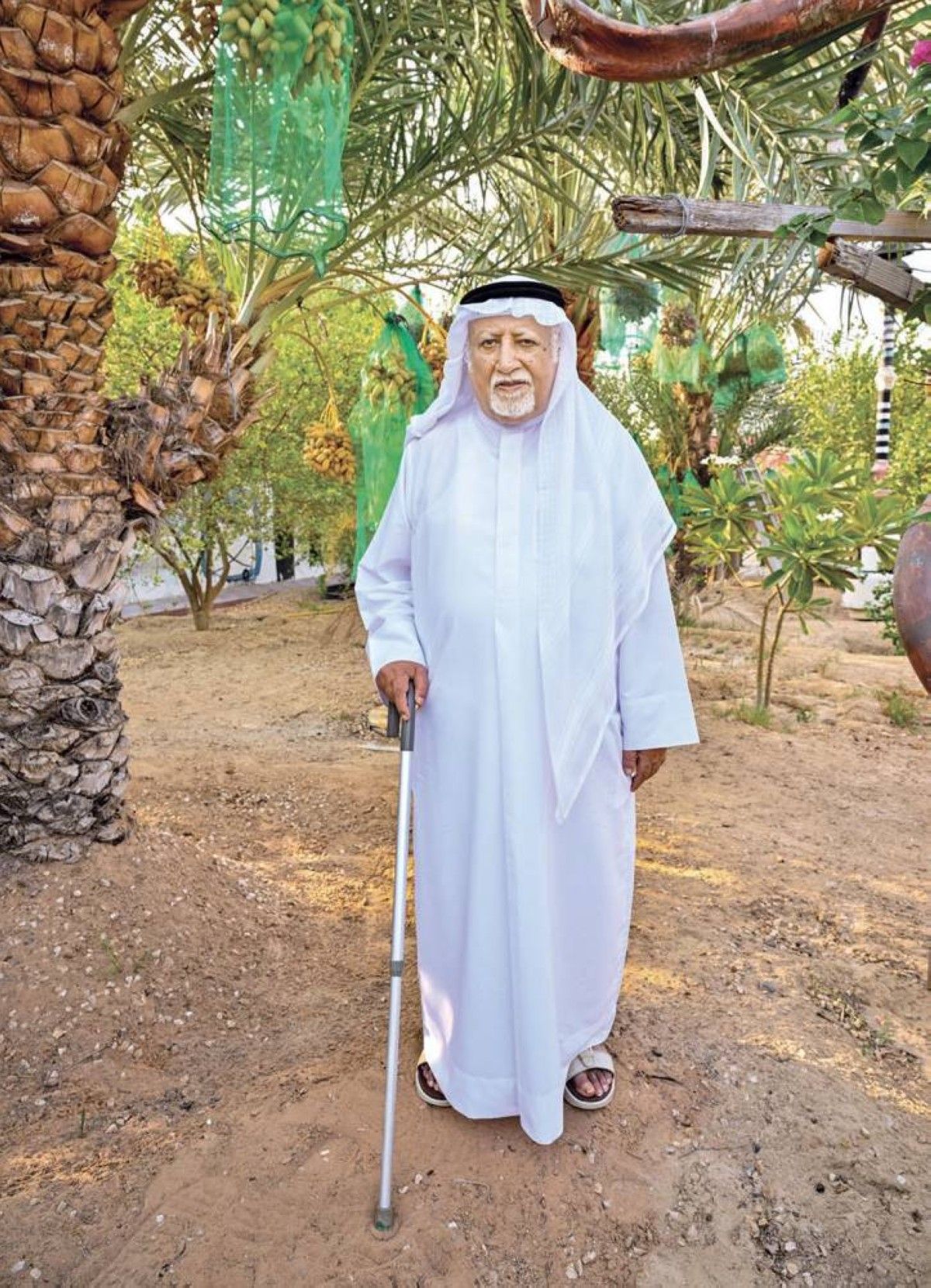 فاروق العوضي في حديقة منزله