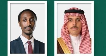 وزير الخارجية ونظيره الإثيوبي يبحثان تطورات الأوضاع الإقليمية