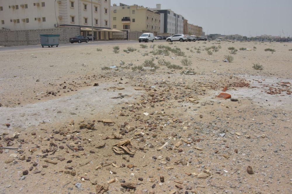 بقايا الطعام تشوّه الأحياء وتستقطب القوارض.. و1000 ريال غرامة للمخالفين