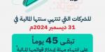 التجارة تطالب الشركات بقوائمها المالية عن 2024م - تليجراف الخليج