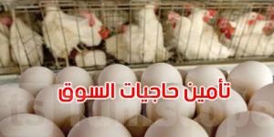 وضعية التزويد بمادة البيض وتأمين حاجيات السوق محور جلسة عمل وزارية - تليجراف الخليج