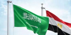 «الإحصاء»: صادرات مصر إلى السعودية ترتفع لـ2.4 مليار دولار في 2024 - تليجراف الخليج
