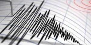 هزة أرضية بقوة 4.3 درجات تضرب جزر فيجي جنوب المحيط الهادئ - تليجراف الخليج