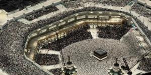 ميناء جدة يستقبل أولى طلائع حجاج 1446هـ - تليجراف الخليج