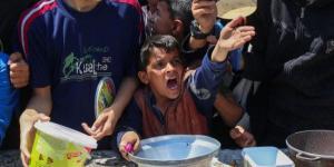 29 عضواً بالكونغرس يطالبون ترمب بالضغط على إسرائيل لإنهاء حصار غزة فوراً - تليجراف الخليج
