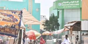 بشرى سارة من الفاشر - تليجراف الخليج