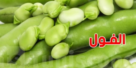 الفول الأخضر: لن تتوقّع فوائده - تليجراف الخليج