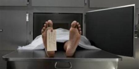 الأرض مثل العرض.. إنهاء حياة شخص علي يد جارة بسبب الأرض الزراعية بالمنيا - تليجراف الخليج