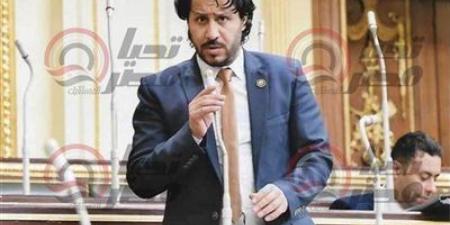 البرلسي: القانون يُصدر أزمة للدولة ويحول ملف الإيجار القديم إلى صراع "أهلي وزمالك" - تليجراف الخليج