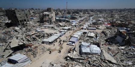 المقررة الأممية لحقوق الإنسان في فلسطين: المجتمع الدولي يشارك في مأساة غزة - تليجراف الخليج