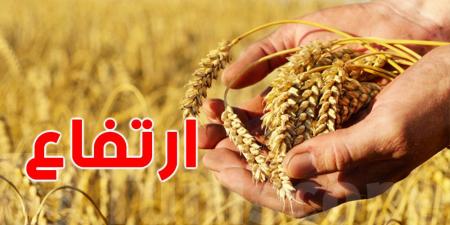 إنتاج الحبوب يرتفع بأكثر من 58% بفضل الظروف المناخية الملائمة - تليجراف الخليج