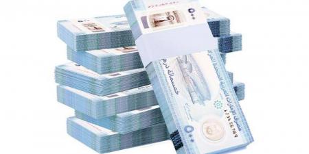 تجنب الدولار عالمياً يكتسب زخماً في آسيا.. والدرهم الإماراتي بين عملات للتحوط - تليجراف الخليج