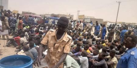 شبكات المخدرات والجوازات المزورة في قبضة الأمن.. بورتسودان تستعيد أمانها - تليجراف الخليج