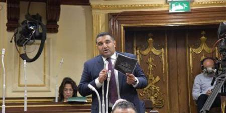 طلب إحاطة للنائب محمود عصام لتشديد الرقابة على شوادر الأضاحي مع اقتراب العيد - تليجراف الخليج