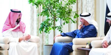 رئيس الدولة وخالد بن سلمان يبحثان تعزيز التعاون - تليجراف الخليج