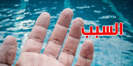 السر وراء تجاعيد أطراف الأصابع عند البلل: الجسم يتأقلم بذكاء - تليجراف الخليج