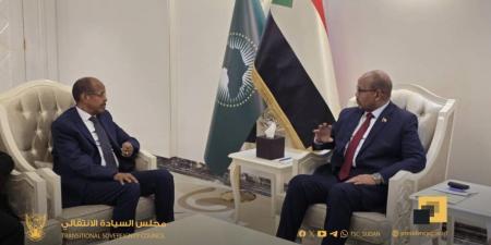 القلب النابض يحارب للنهوض.. مفوضية الاتحاد الأفريقي تكشف دور السودان في إنقاذ القرن - تليجراف الخليج