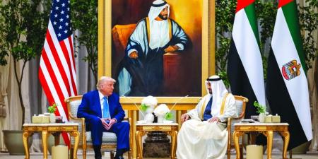 رئيس الدولة والرئيس الأميركي يبحثان العلاقات الاستراتيجية بين البلدين - تليجراف الخليج