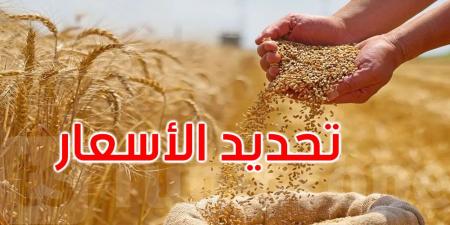 ضبط أسعار قبول الحبوب لصابة 2025 - تليجراف الخليج
