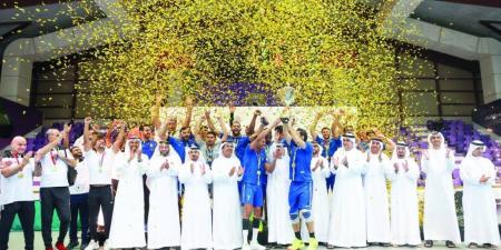 النصر بطلاً لكأس الإمارات للطائرة - تليجراف الخليج