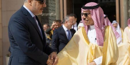 وزير الخارجية ونظيره التركي يترأسان اجتماع المجلس التنسيقي بين البلدين - تليجراف الخليج