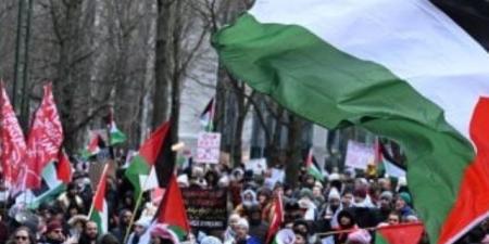 برلمانيون إيطاليون يحتجون فى رفح ضد إسرائيل ويطالبون بحظر السلاح لتل أبيب - تليجراف الخليج