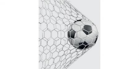 رمسة ملاعب - تليجراف الخليج