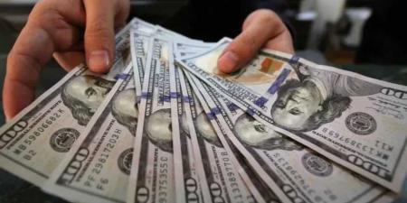 تراجع طفيف في سعر الدولار مقابل الجنيه في منتصف تعاملات اليوم الأحد 18 مايو 2025 - تليجراف الخليج