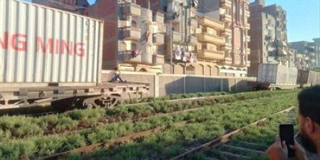 انحراف 7 عربات قطار بضائع أمام شربين دون خسائر بشرية - تليجراف الخليج