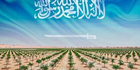 في مبادرة كبيرة..المملكة العربية السعودية تزرع 10 مليارات شجرة في صحرائها - تليجراف الخليج