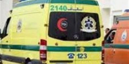 مصرع شخص وإصابة آخر في حادث انقلاب سيارة نقل بمحور 30 يونيو بالإسماعيلية - تليجراف الخليج