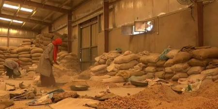 المليشيا تنهب مخازن “الصمغ العربي” في النهود وترحلها إلى نيالا - تليجراف الخليج