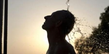 كيف يمكن التعامل مع موجات الحر المتكررة؟ - تليجراف الخليج