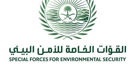 11:10 القوات الخاصة للأمن البيئي تضبط مواطنًا مخالفًا لنظام البيئة لارتكابه مخالفة رعي في محمية الملك عبدالعزيز الملكية - تليجراف الخليج