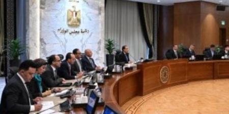رئيس الوزراء يجتمع مع رئيس "جيتور" العالمية لتوطين طرازات السيارات فى مصر - تليجراف الخليج