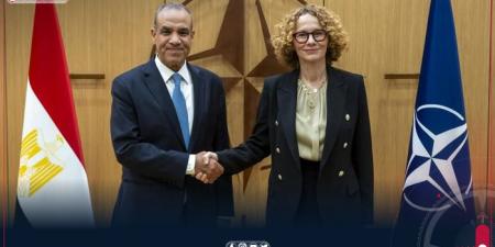 وزير الخارجية المصري لـ حلف الناتو: لا حل في ليبيا دون توحيد المؤسسات وحل الميليشيات - تليجراف الخليج