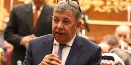 السفير عمرو حلمي: إسرائيل تخسر الحرب الإنسانية والأخلاقية والسياسية والقانونية - تليجراف الخليج