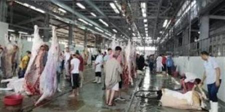 محافظ القليوبية: إلغاء جميع الإجازات لكافة العاملين في مديرية الطب البيطري والمجازر طوال فترة عيد الأضحى المبارك - تليجراف الخليج