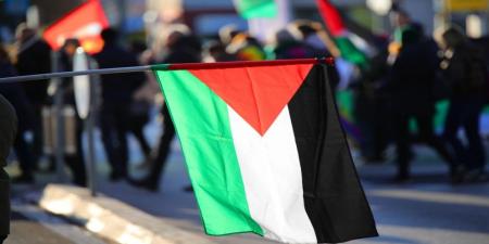 الجامعة العربية لـ "المملكة": خارطة عمل واضحة لمؤتمر حل الدولتين في نيويورك - تليجراف الخليج