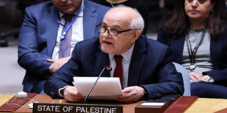 مندوب فلسطين للأمم المتحدة: مؤتمر "حل الدولتين" نقطة تحول في عملية إنهاء الاحتلال - تليجراف الخليج