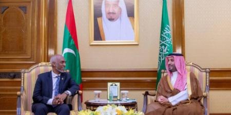 ولي العهد ورئيس المالديف يستعرضان أوجه العلاقات وآفاق التعاون - تليجراف الخليج