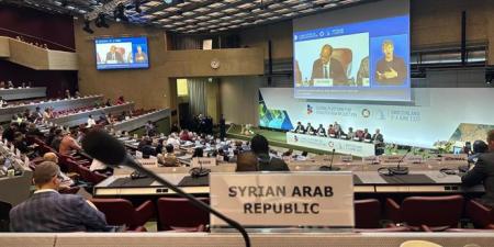 الدفاع المدني يشارك في الدورة الثامنة للمنصة العالمية للحد من مخاطر الكوارث بجنيف - تليجراف الخليج